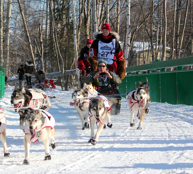 Iditarod