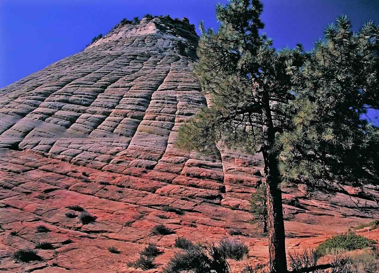checkerboard mesa