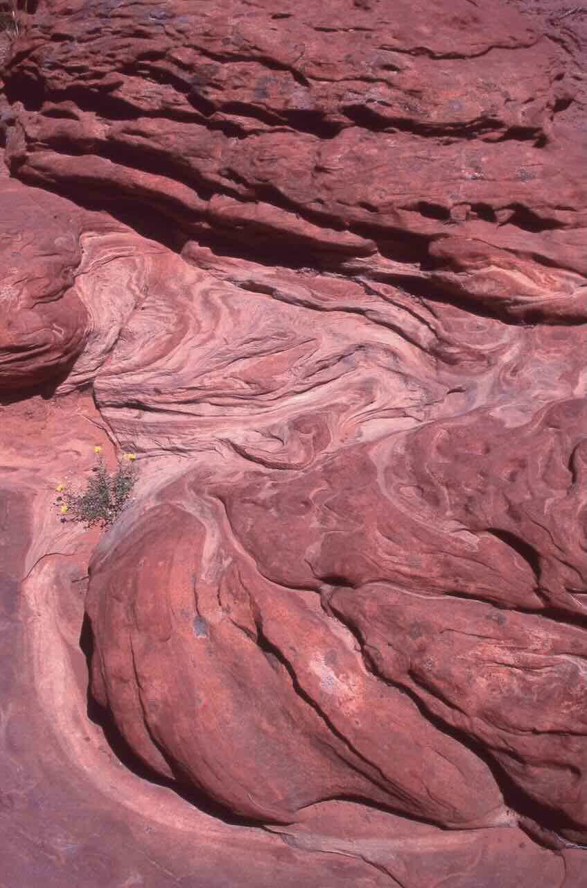 zion_red_rock