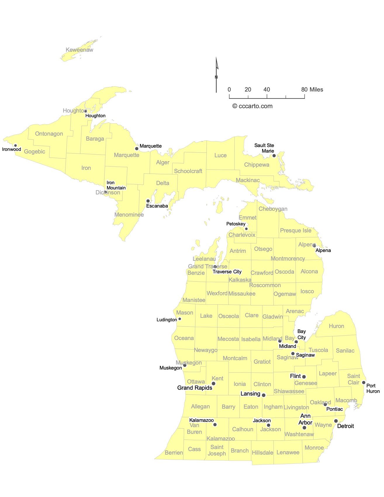 Michigan Major Cities Map