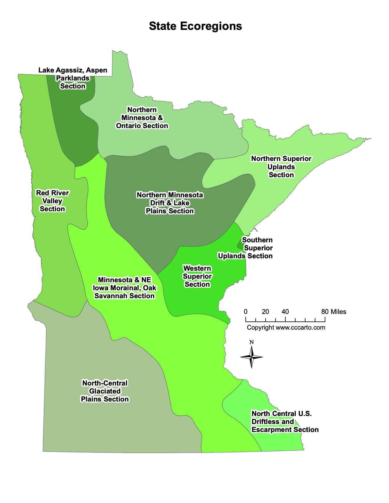 Minnesota Major Cities Map