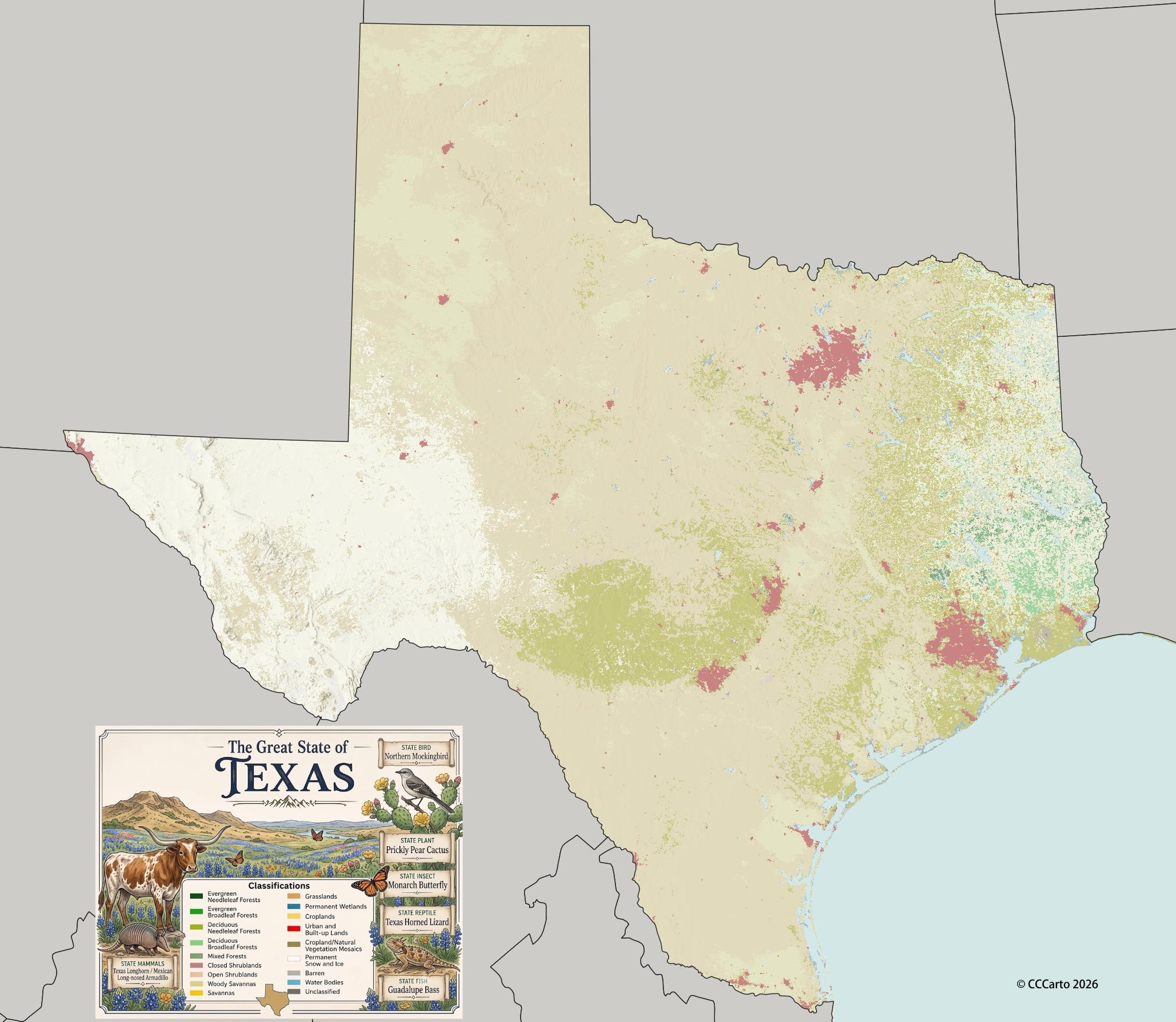Texas State Relief Map