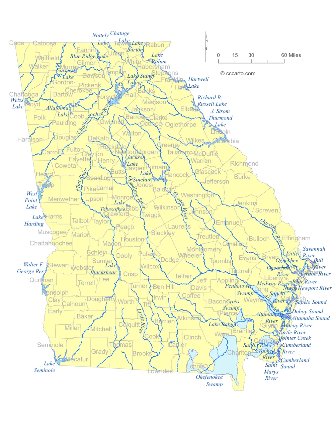 Georgia State Lakes and Rivers State Map