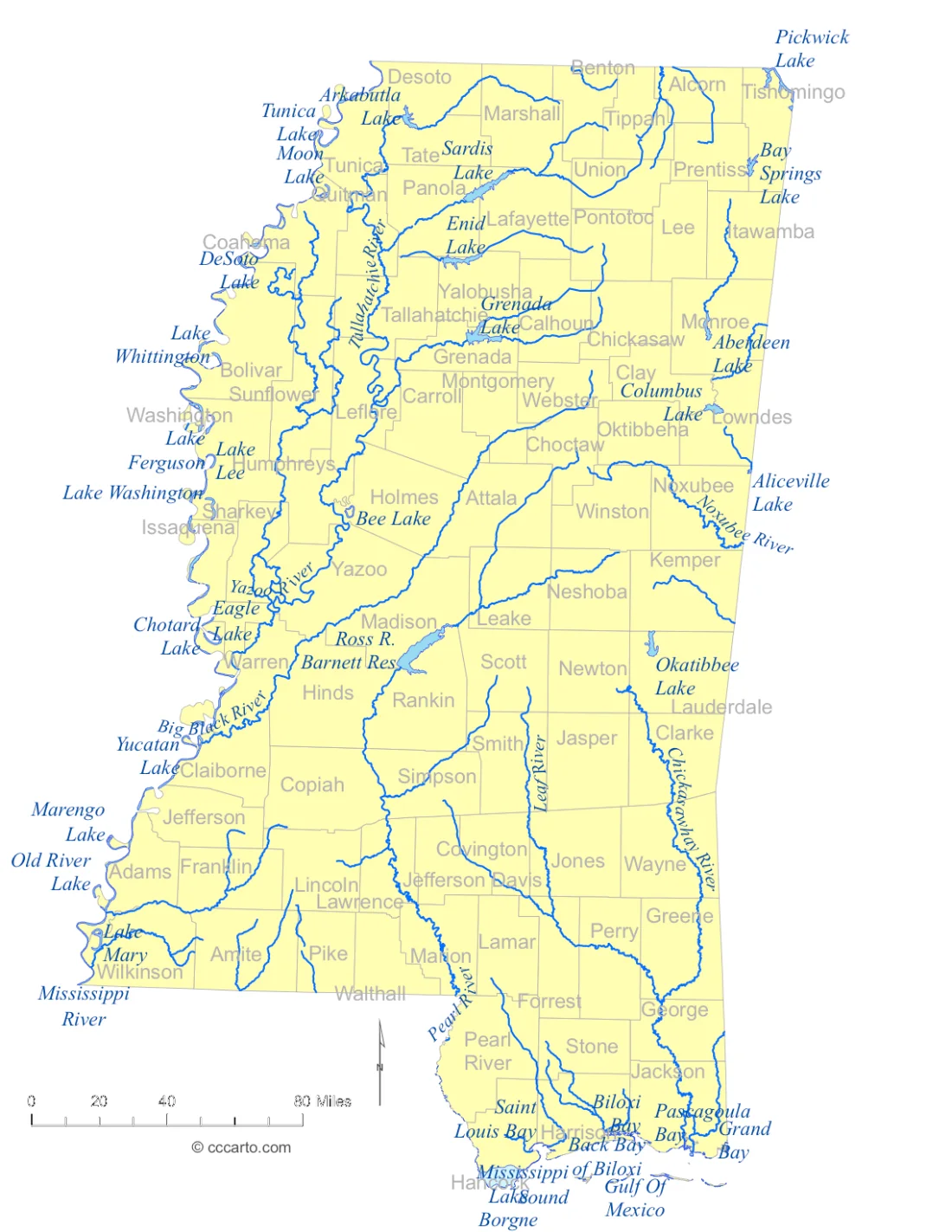 Mississippi Lakes and Rivers State Map